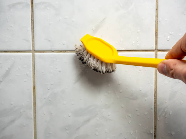  Mckinleyville, CA Mold Removal Pros
