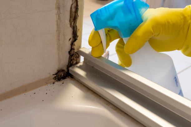Best Crawl Space Mold Remediation in Mckinleyville, CA