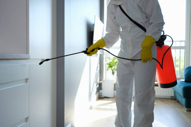 Best Preventive Mold Services in Mckinleyville, CA